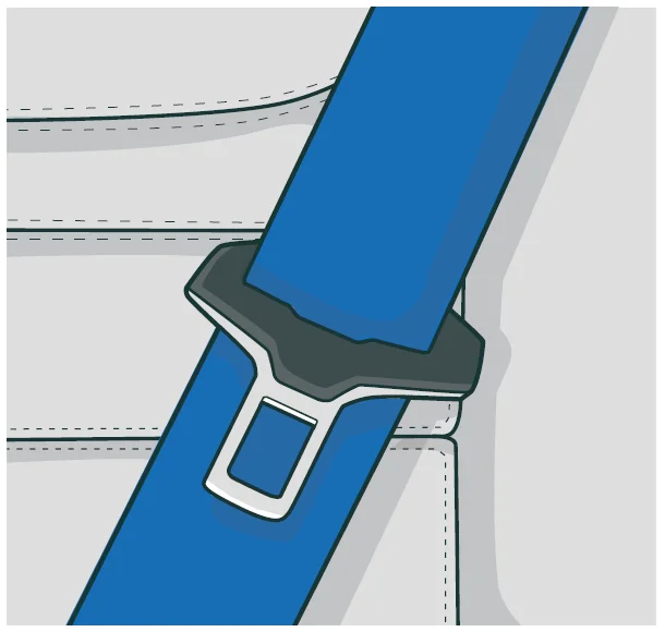 Coloured seatbelt